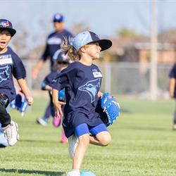 Baseball Day in Brampton